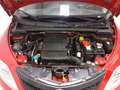 Lancia Ypsilon 1.2 69 CV 5 porte GPL Ecochic Elefantino Blu Rosso - thumbnail 5