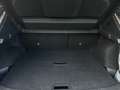 Nissan Qashqai 1.3 DIG-T 160 DCT FINAL EDITION PLUS/Leder/Camera Bruin - thumbnail 21