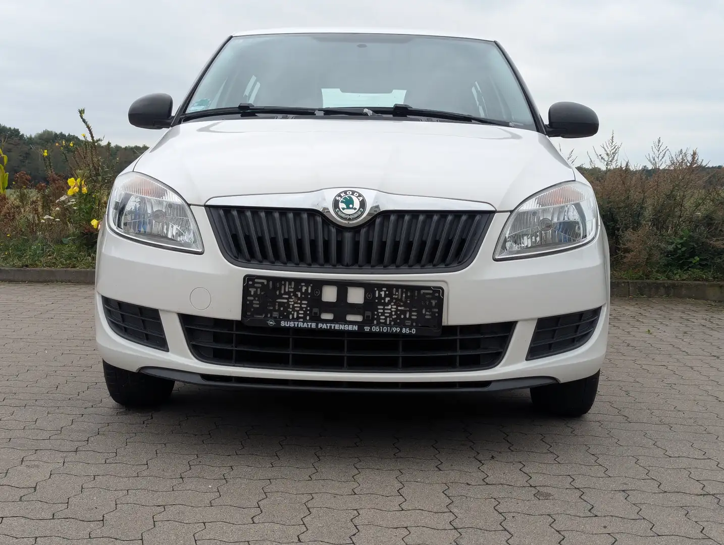 Skoda Fabia Special*Tüv neu*Klima - 1