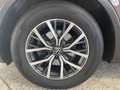 Volkswagen Tiguan Life 2.0 TDI DSG IQ-LIGHT+ACC+KAMERA+AHK Braun - thumbnail 20