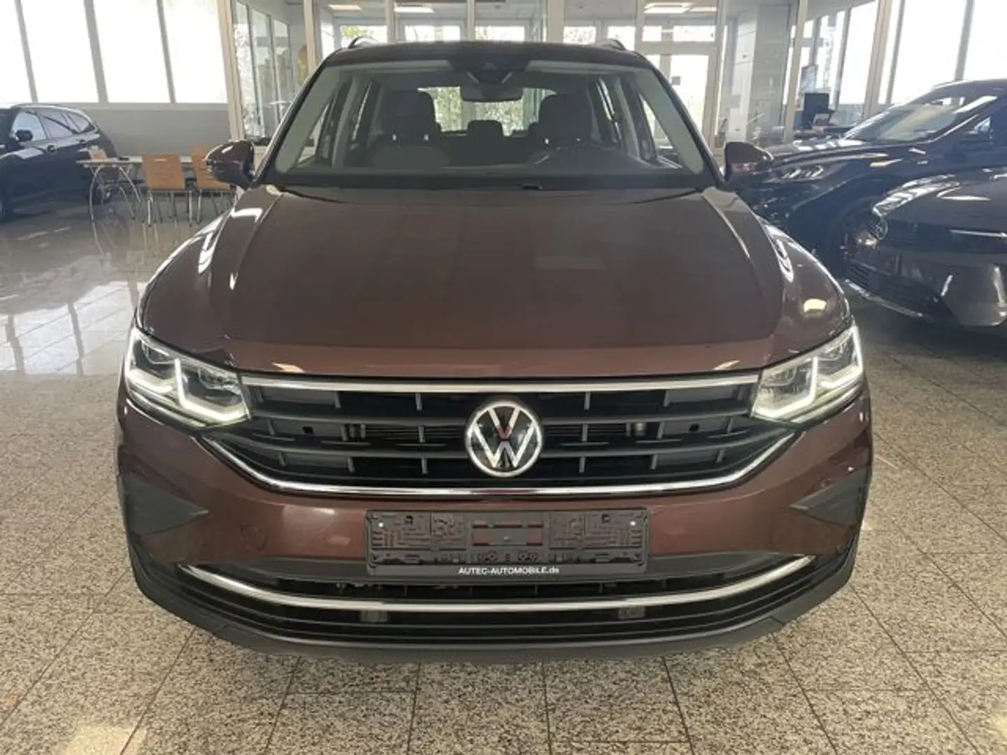 Volkswagen Tiguan Life 2.0 TDI DSG IQ-LIGHT+ACC+KAMERA+AHK Braun - 2