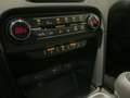 Kia Ceed / cee'd Ceed Vision 1.5 T-GDI Komfort+ Sale Argento - thumbnail 19