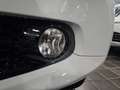smart forTwo SUPER PASSION 1.0 BENZ 70CV TWINAMIC AUTOMATICA Blanc - thumbnail 19