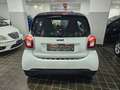 smart forTwo SUPER PASSION 1.0 BENZ 70CV TWINAMIC AUTOMATICA Blanc - thumbnail 8