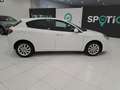 Alfa Romeo Giulietta 1.6 JTDM 120cv Business Bianco - thumbnail 13