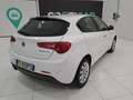 Alfa Romeo Giulietta 1.6 JTDM 120cv Business Bianco - thumbnail 12