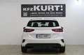 Kia Ceed / cee'd 1.0 T-GDI 120 OPF Edition7! Weiß - thumbnail 4