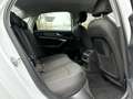 Audi A6 40 TDI BASIS/DSP/AHK/KLIMA/LED/DAB/SHZ/1.HAND Weiß - thumbnail 12