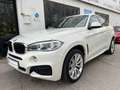 BMW X6 xDrive 30dA Blanco - thumbnail 11