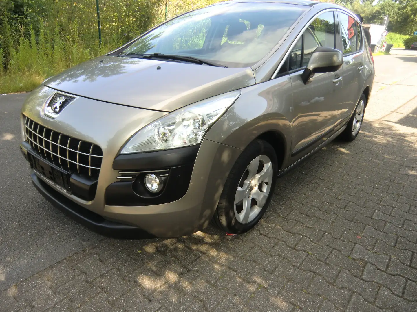 Peugeot 3008 Active Grau - 2