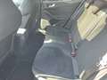 Ford Focus ST X PANO NAVI ACC GSD Klimaaut RFK PDC SHZ FSH LR Weiß - thumbnail 12