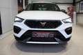 CUPRA Ateca VZ 300PS 4Drive 5JGAR+AHK+elHK+ACC+KEYLESS Klima Білий - thumbnail 3