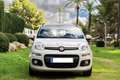 Fiat Panda 1.2 Lounge Beige - thumbnail 2