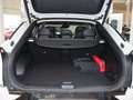 Kia EV6 Basis 4WD NAVI,KAMERA,CARPLAY,HEAD-UP,LED,PDC Blanc - thumbnail 5