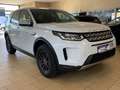 Land Rover Discovery Sport S*LED*Pano*RF-Cam*St-Heizung*SHZ Bílá - thumbnail 3
