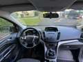 Ford Kuga 1.6 ecoboost Plus s&s 2wd 150cv - thumbnail 6