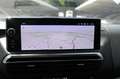 Opel Zafira Life Zafira LIFE FACELIFT/EDITION PLUS/9-SITZER/NAVI Grau - thumbnail 17