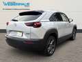 Mazda MX-30 Makoto-1.HAND-WR-BOSE-NAVI-360°KAMERA-MATRIXLED Grau - thumbnail 2