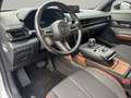 Mazda MX-30 Makoto-1.HAND-WR-BOSE-NAVI-360°KAMERA-MATRIXLED Grau - thumbnail 9