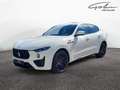 Maserati Levante Trofeo Q4 - thumbnail 1