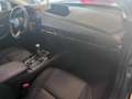Mazda CX-30 2.0 m-hybrid 122cv Executive, PERFETTA, 45.000 KM! Gris - thumbnail 12