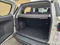 Ford EcoSport EcoSport 2014 1.5 Titanium 110cv E6 Weiß - thumbnail 10