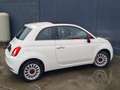 Fiat 500 1.0i MHEV Red ! 1ère Main ! 24.000 kms ! Bianco - thumbnail 3