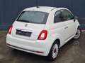 Fiat 500 1.0i MHEV Red ! 1ère Main ! 24.000 kms ! Bianco - thumbnail 4