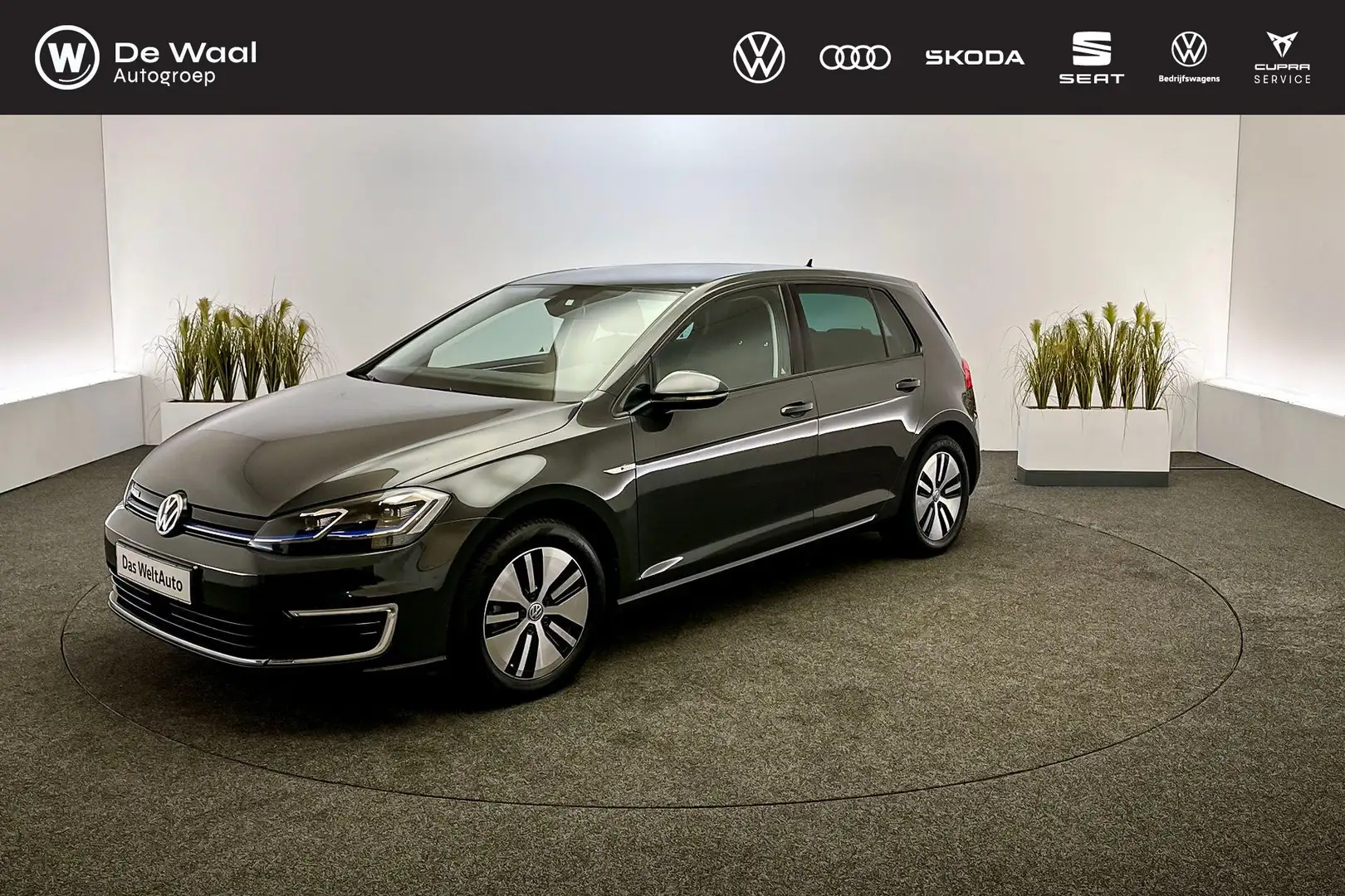 Volkswagen e-Golf 136pk DSG E-DITION | Adaptive Cruise Control, Navi Gris - 1
