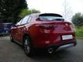 Alfa Romeo Stelvio Stelvio 2.2 t Business rwd 190cv auto Rojo - thumbnail 11