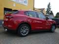 Alfa Romeo Stelvio Stelvio 2.2 t Business rwd 190cv auto Rojo - thumbnail 9
