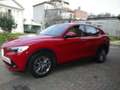 Alfa Romeo Stelvio Stelvio 2.2 t Business rwd 190cv auto Rojo - thumbnail 4