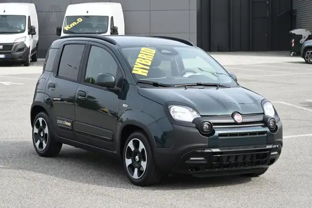 Fiat Panda view 2