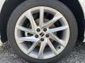SEAT Ibiza FR 1.0 TSI 116 PS 7-GANG-DSG Voll-LED,Navi,PDC v.+ Weiß - thumbnail 19