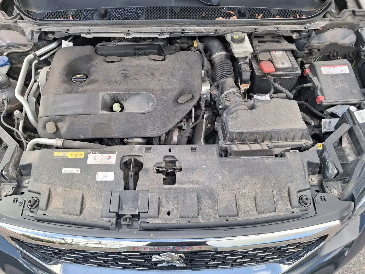 Das Auto