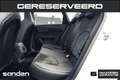 SEAT Leon ST 2.0 CUPRA R 4DRIVE CARBON|PANO|downpipe|Motec Blanc - thumbnail 34