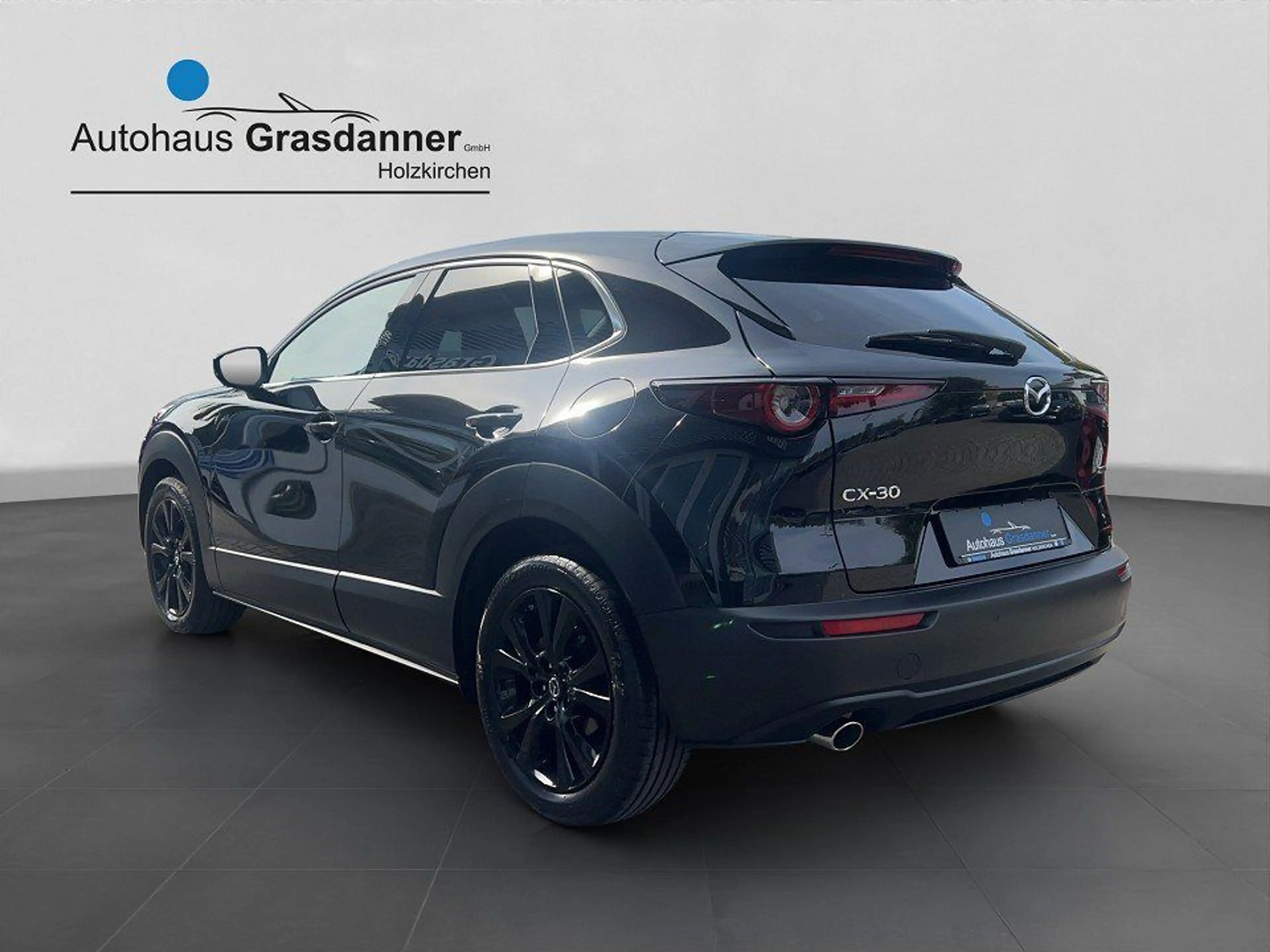 Mazda CX-30 SKYACTIV-G 2.0 150PS M Hybrid AL-HOMURA PR — photo 5