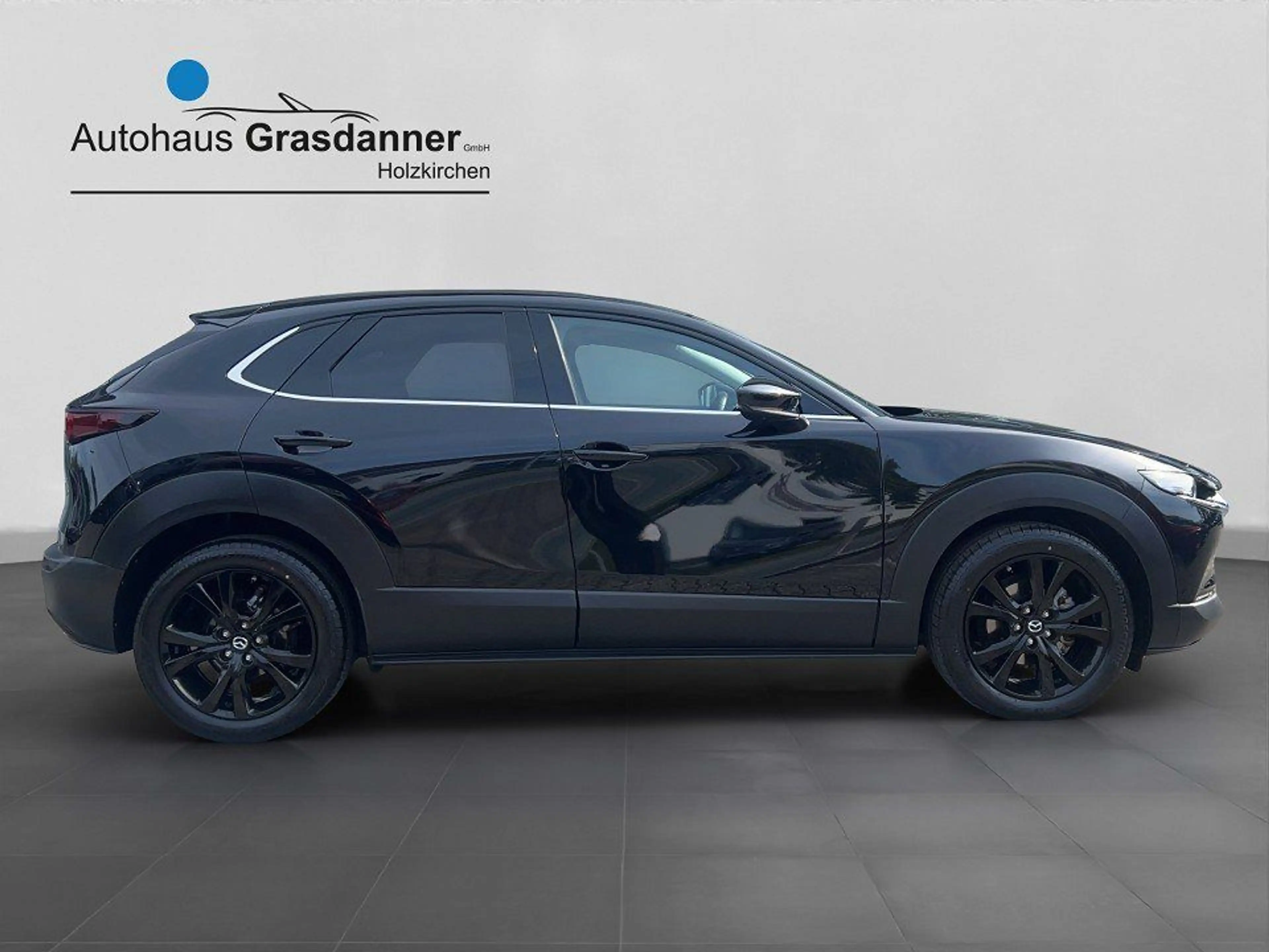 Mazda CX-30 SKYACTIV-G 2.0 150PS M Hybrid AL-HOMURA PR — photo 9