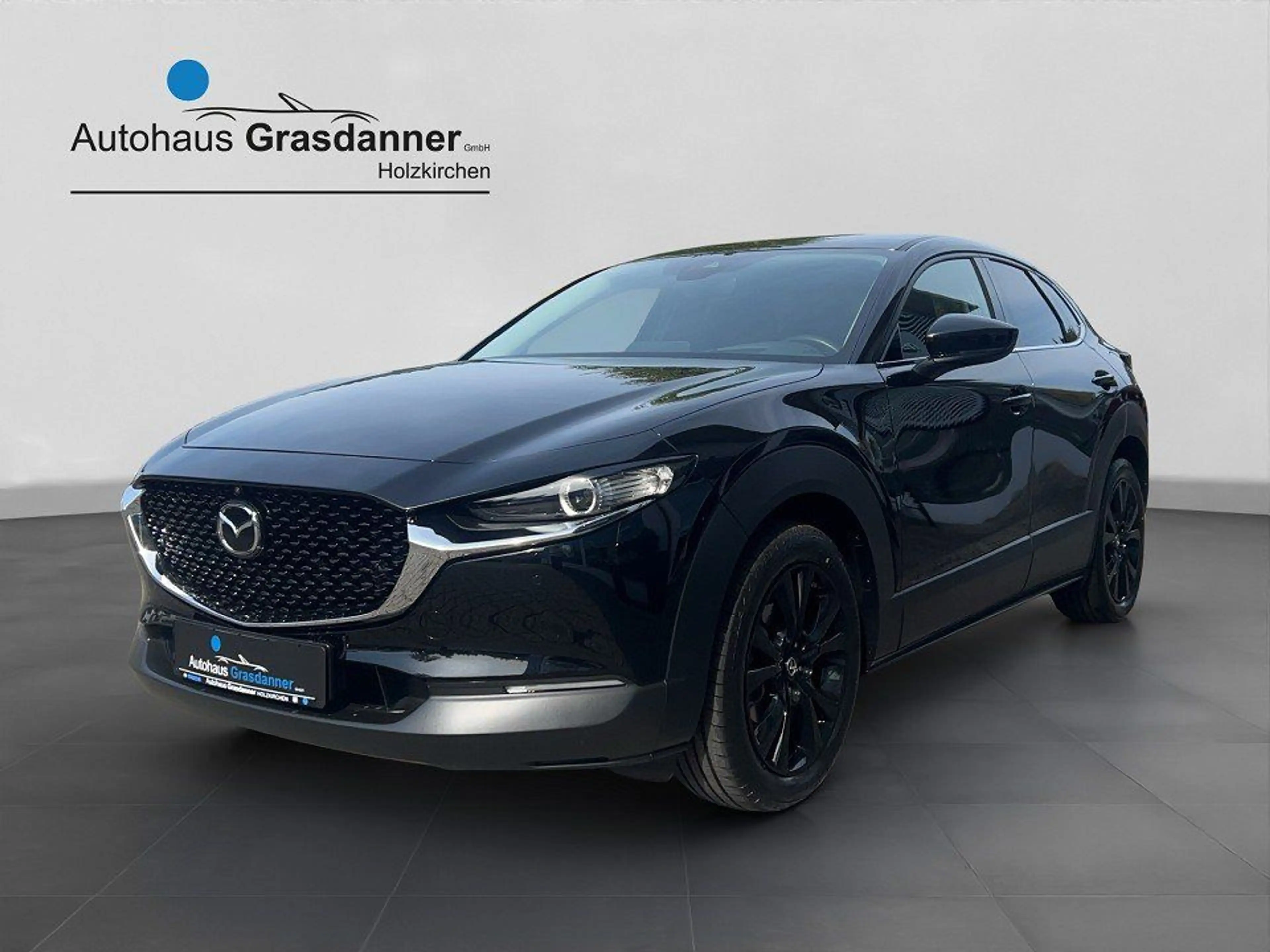 Mazda CX-30 SKYACTIV-G 2.0 150PS M Hybrid AL-HOMURA PR — photo 4