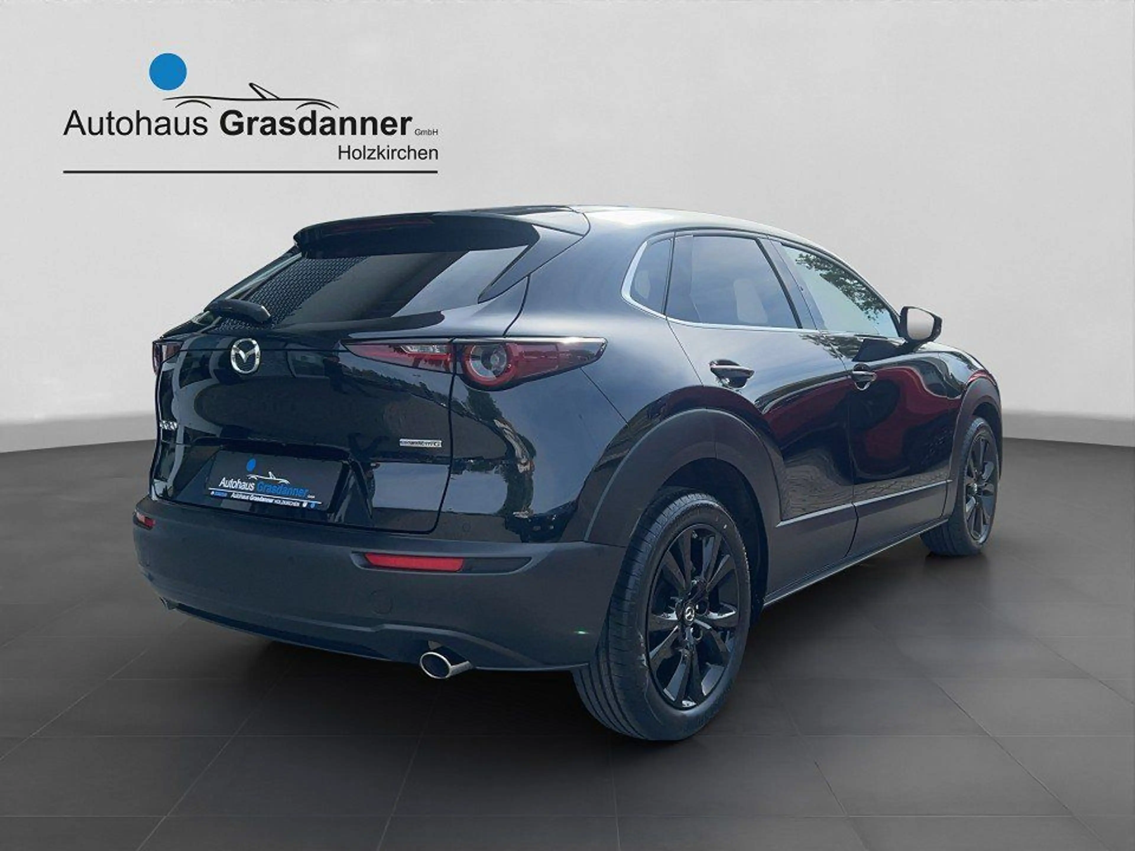 Mazda CX-30 SKYACTIV-G 2.0 150PS M Hybrid AL-HOMURA PR — photo 8