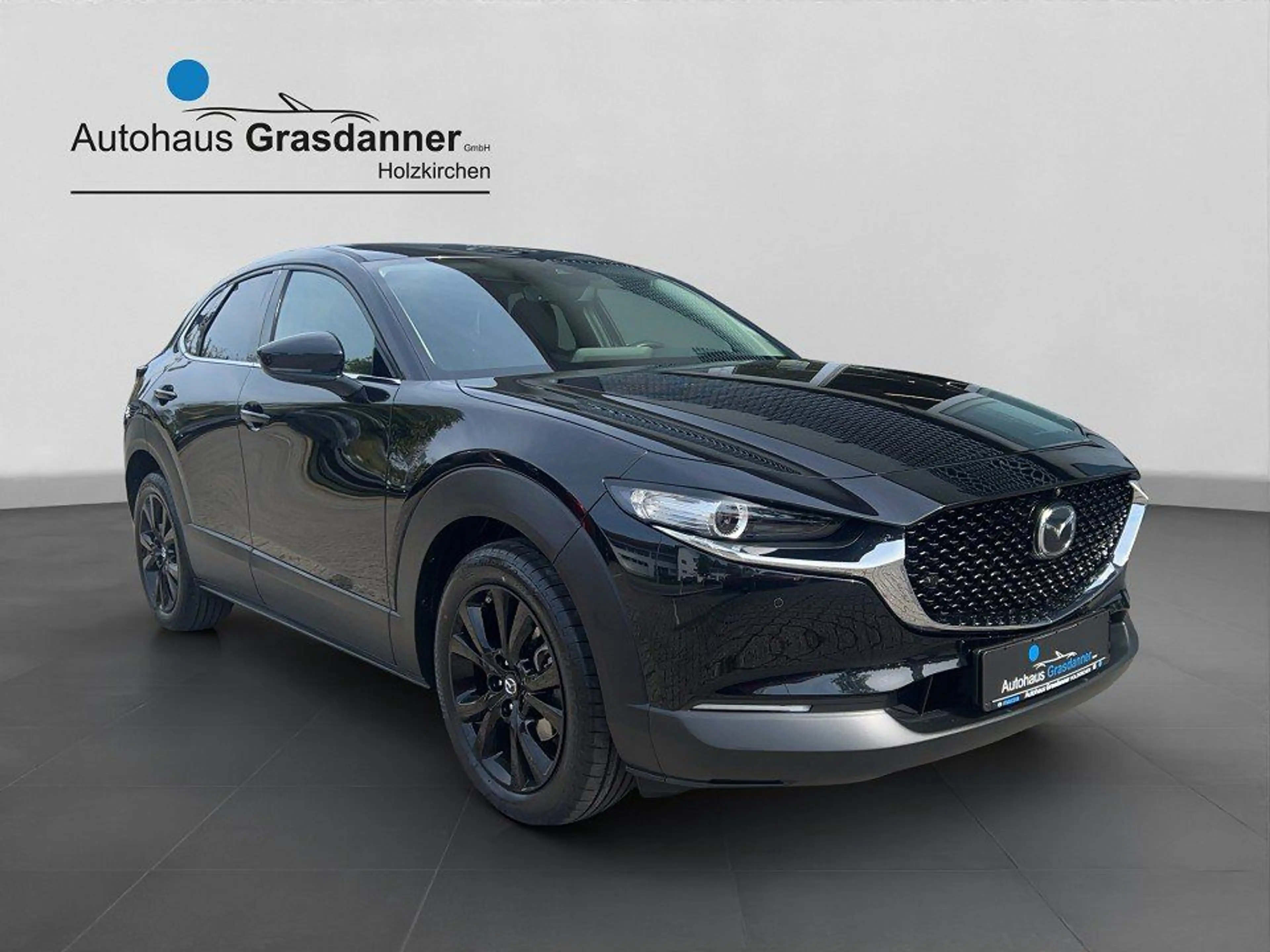 Mazda CX-30 SKYACTIV-G 2.0 150PS M Hybrid AL-HOMURA PR