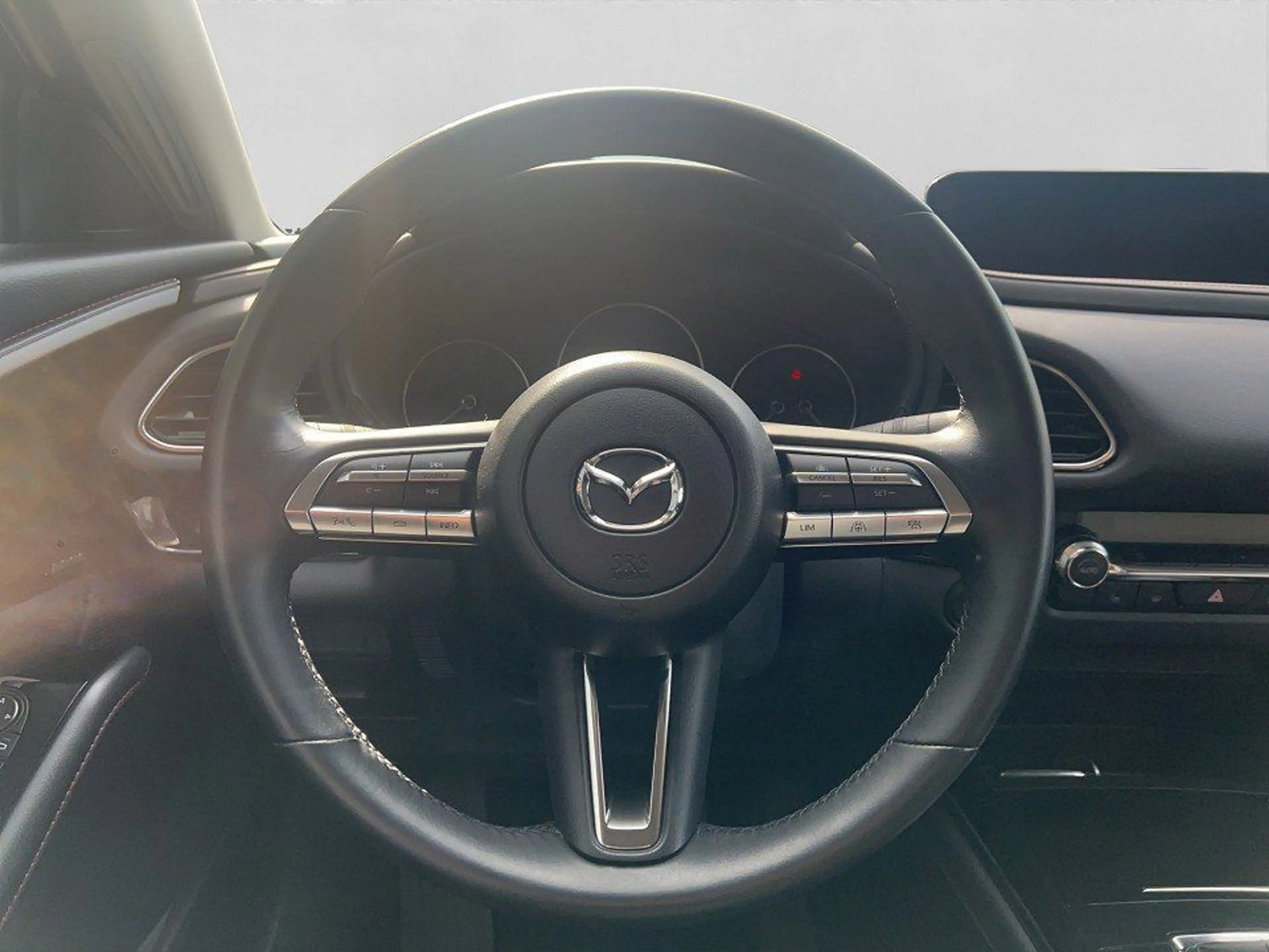 Mazda CX-30 SKYACTIV-G 2.0 150PS M Hybrid AL-HOMURA PR — photo 14