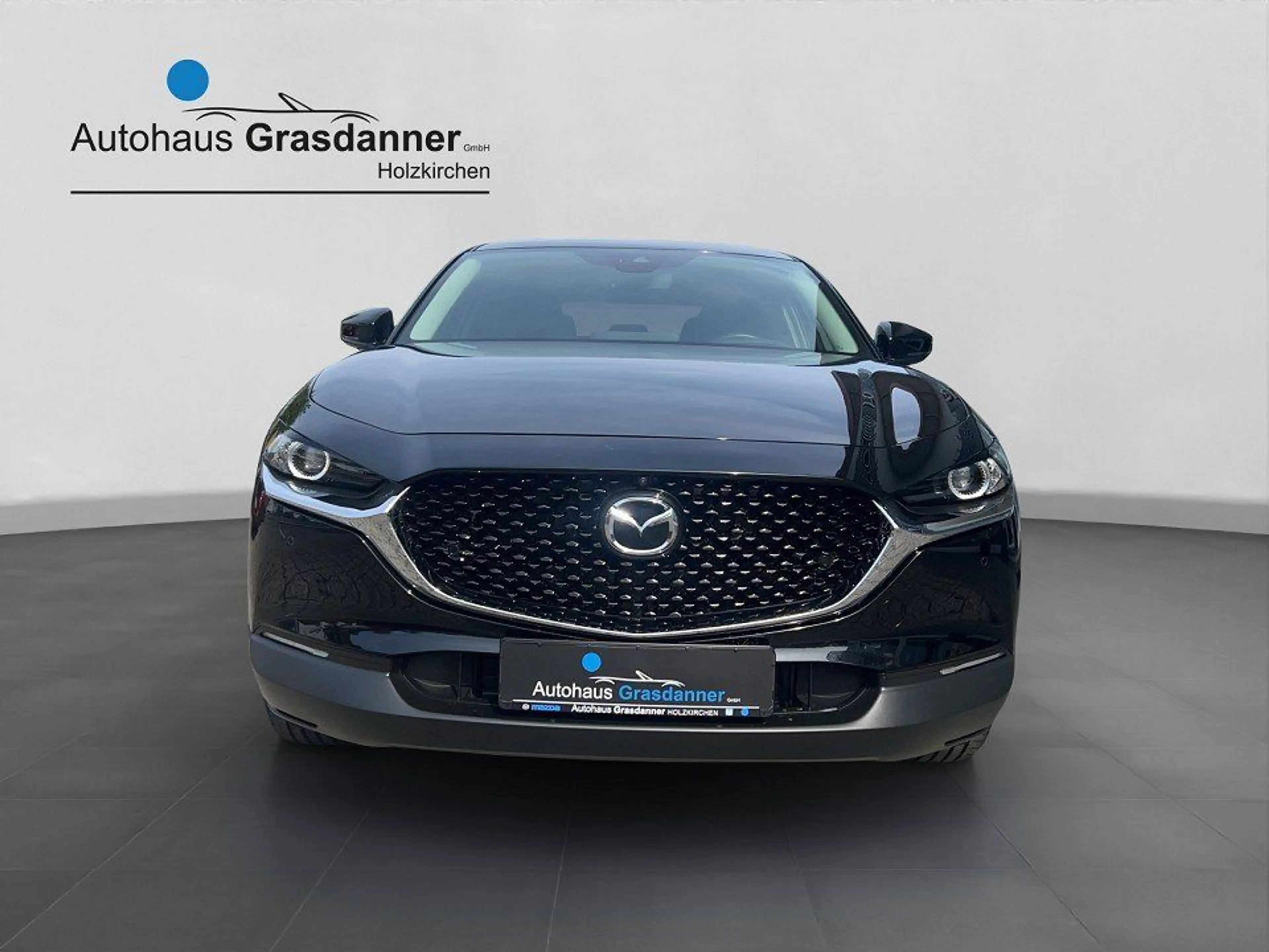Mazda CX-30 SKYACTIV-G 2.0 150PS M Hybrid AL-HOMURA PR — photo 2