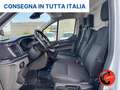 Ford Transit Custom TDCI L1H1-FRIGO CARIER NUOVO FRCX-20-STRADA RETE- Bianco - thumbnail 11