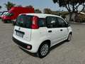 Fiat Panda 1.0 FireFly S&S Hybrid Blanco - thumbnail 6