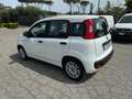 Fiat Panda 1.0 FireFly S&S Hybrid Blanco - thumbnail 4