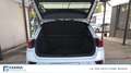 Volkswagen T-Roc 1.5 TSI ACT R Line Bianco - thumbnail 11