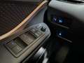 Toyota C-HR Hybrid 2,0  Business Edition 184ps Gris - thumbnail 13