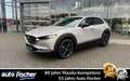Mazda CX-30 2.0 (186PS) Autom. Homura Rückfahrkamera N Beige - thumbnail 1