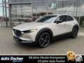 Mazda CX-30 2.0 (186PS) Autom. Homura Rückfahrkamera N Beige - thumbnail 1